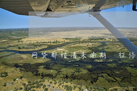 网贷都结清未逾期 征信6